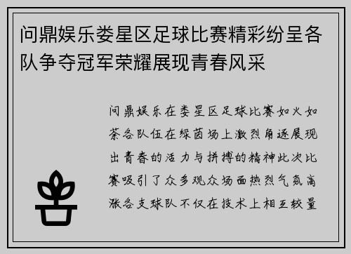 问鼎娱乐娄星区足球比赛精彩纷呈各队争夺冠军荣耀展现青春风采